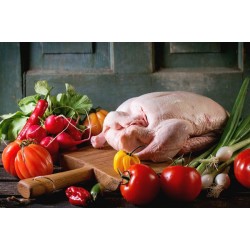 لحم بط فاخر